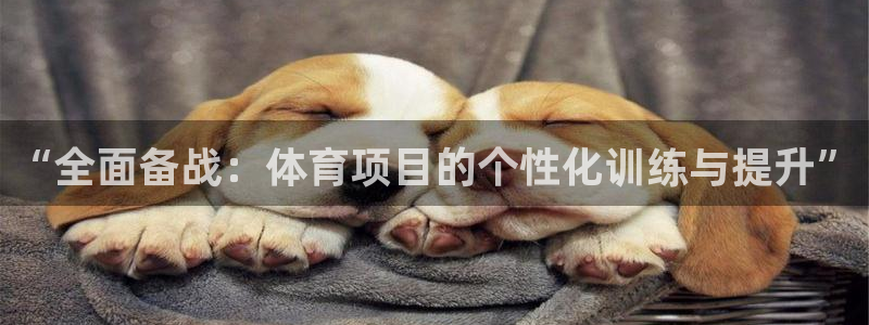 尊龙旗舰厅