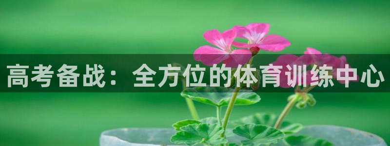 凯时国际app登录