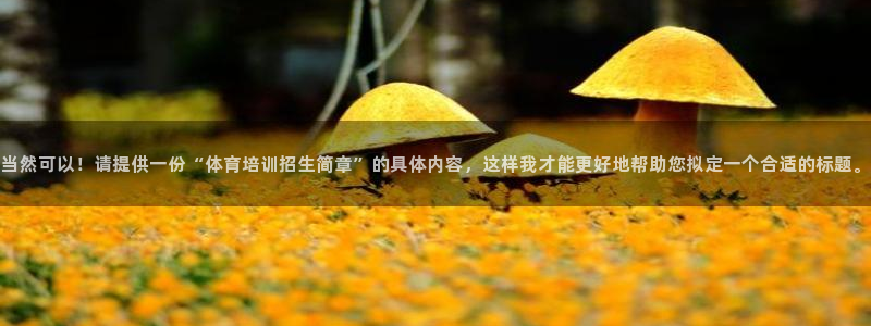 凯时官网手机版首页