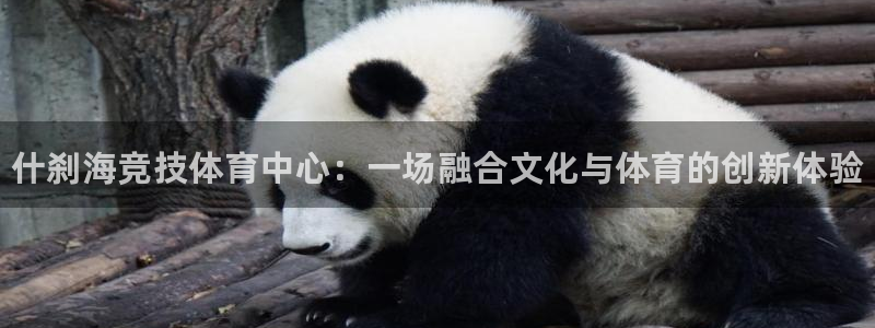 尊龙凯时干什么的