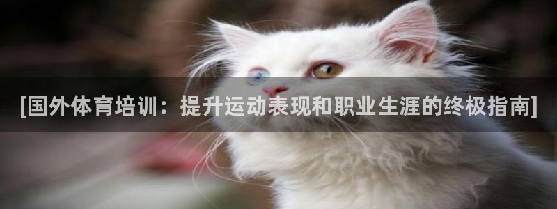 凯时k66官网登录：[国外体育培训：提升运动表现和职