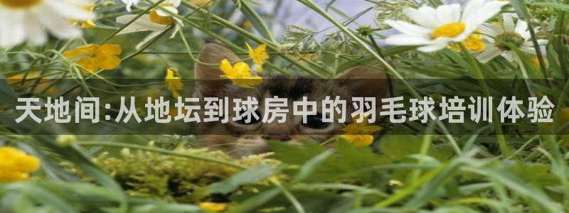 首页尊龙d88国际