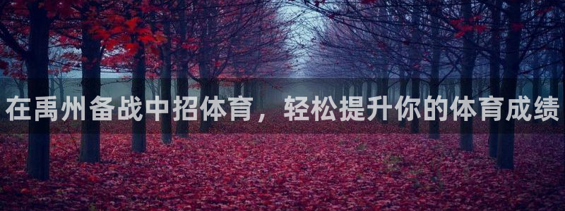 尊龙人生就是博AG：在禹州备战中招体育，轻松提升你的体育成绩