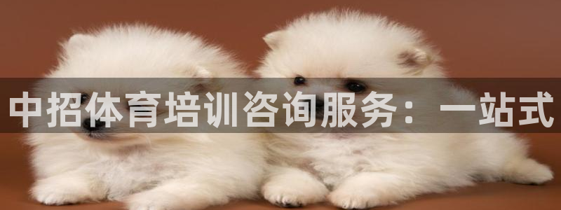 尊龙凯时是赌博嘛：中招体育培训咨询服务：一站式