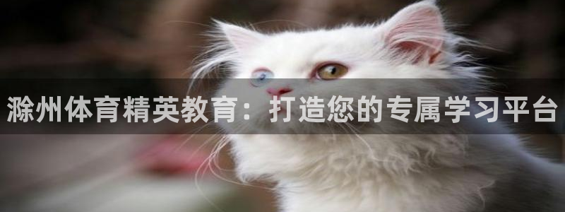 尊龙集团有限公司官网